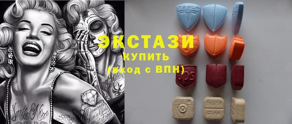 ECSTASY Бородино